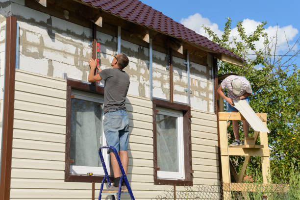 Best Stone Veneer Siding  in Wilson, NC