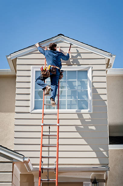 Best Insulated Siding Installation  in Wilson, NC